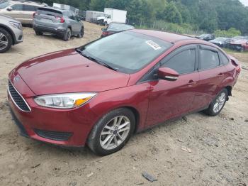  Salvage Ford Focus