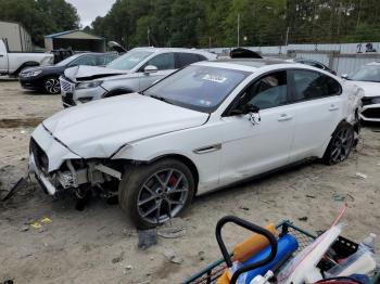  Salvage Jaguar XF