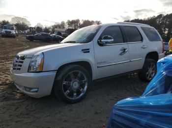  Salvage Cadillac Escalade