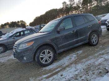  Salvage Hyundai SANTA FE