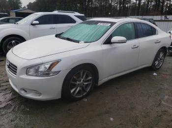  Salvage Nissan Maxima