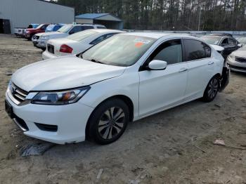  Salvage Honda Accord