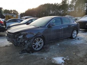  Salvage Nissan Maxima