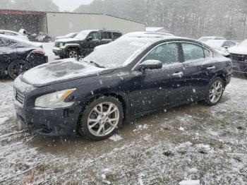  Salvage Nissan Maxima