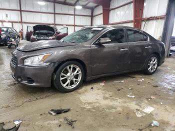  Salvage Nissan Maxima