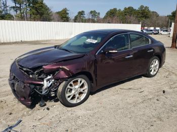  Salvage Nissan Maxima