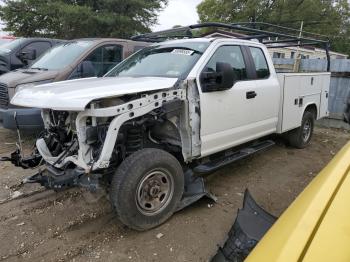  Salvage Ford F-250