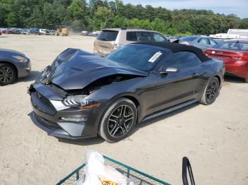  Salvage Ford Mustang