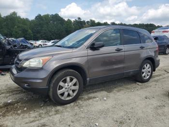  Salvage Honda Crv