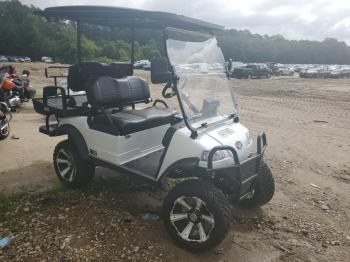  Salvage Evolution Golf Cart
