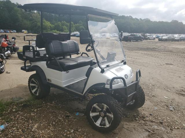  Salvage Evolution Golf Cart