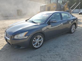  Salvage Nissan Maxima