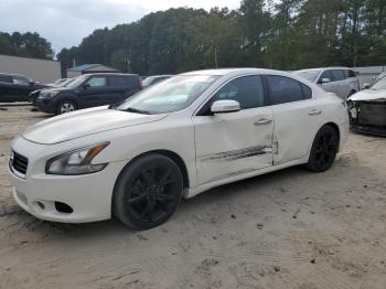  Salvage Nissan Maxima