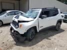 Jeep Renegade Trailhawk Image 1