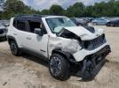 Jeep Renegade Trailhawk Image 3