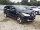 Ford Escape Sel Image 8