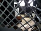 Ford Transit T-150 Image 7
