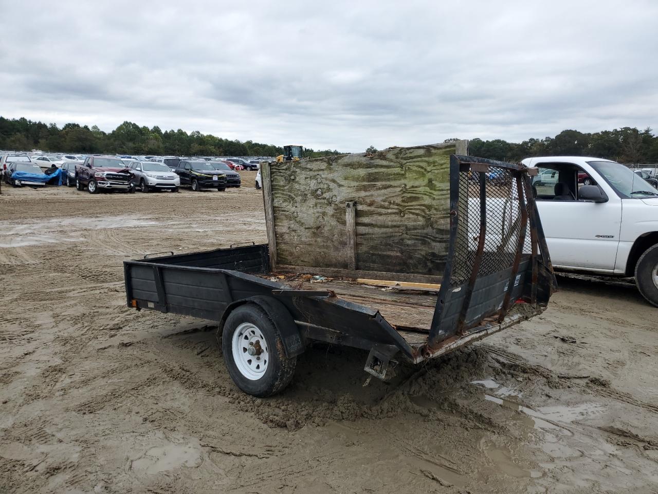 Snow Bear Other Image 5