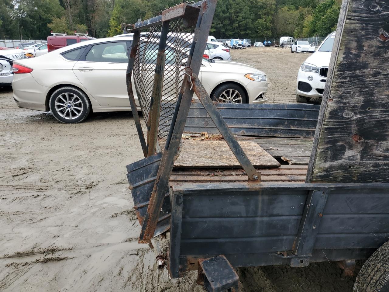 Snow Bear Other Image 4