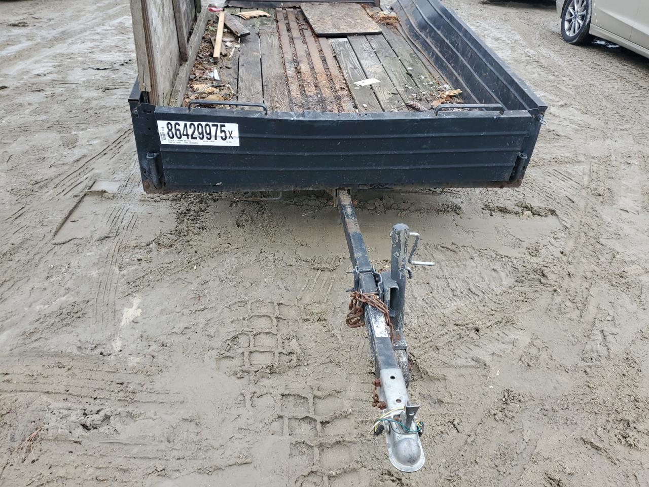 Snow Bear Other Image 6