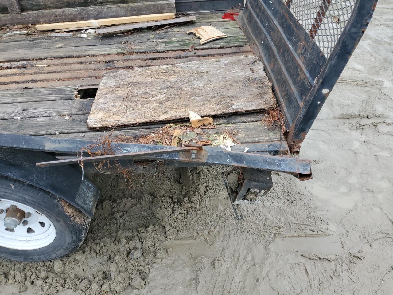 Snow Bear Other Image 8