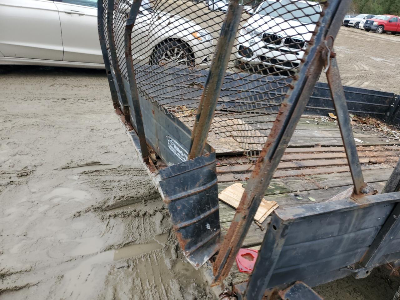 Snow Bear Other Image 7