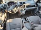 Honda Crv Se Image 10