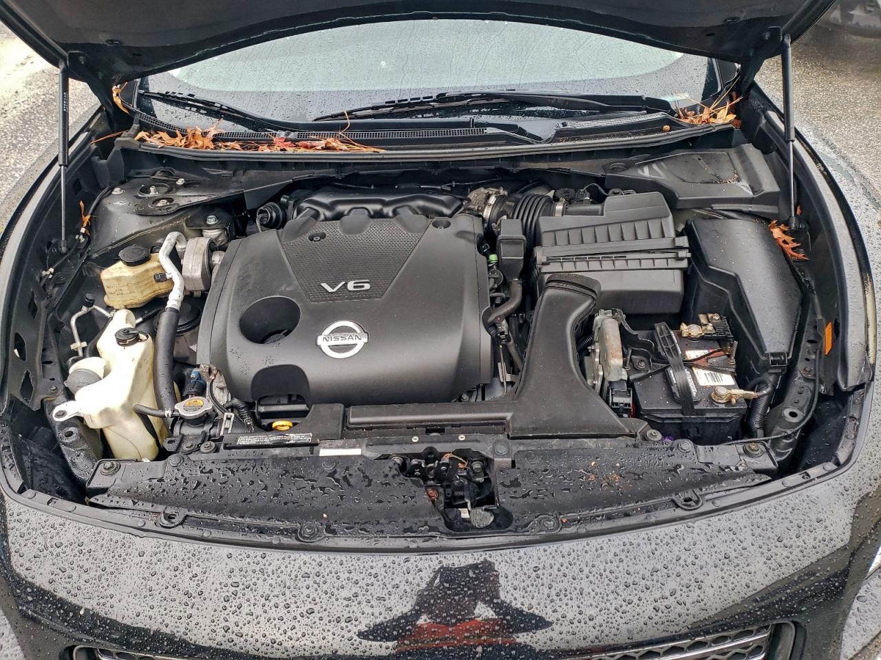 Nissan Maxima S Image 6