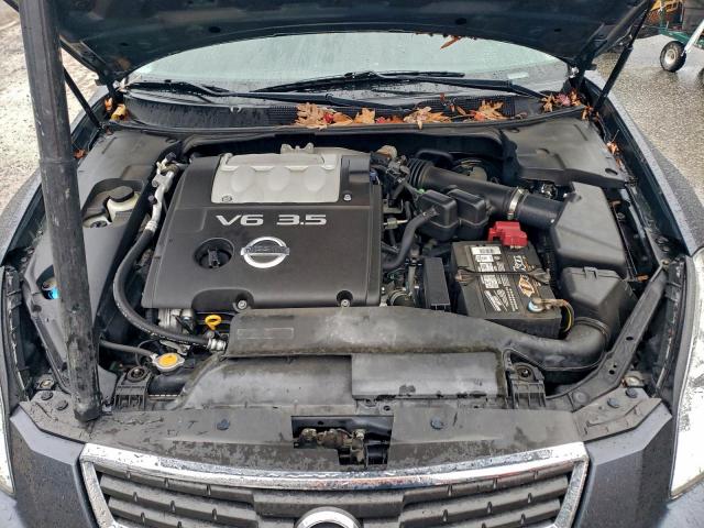 Nissan Maxima Se Image 13