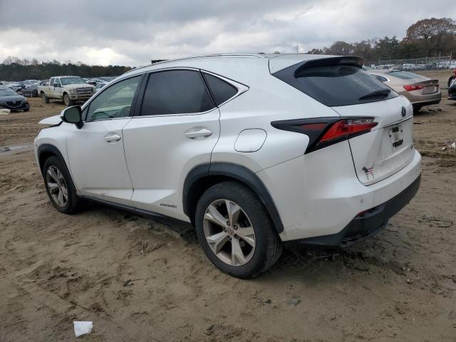 Lexus NX 300h Image 5