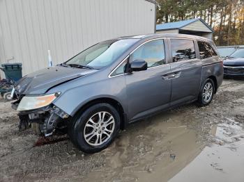  Salvage Honda Odyssey