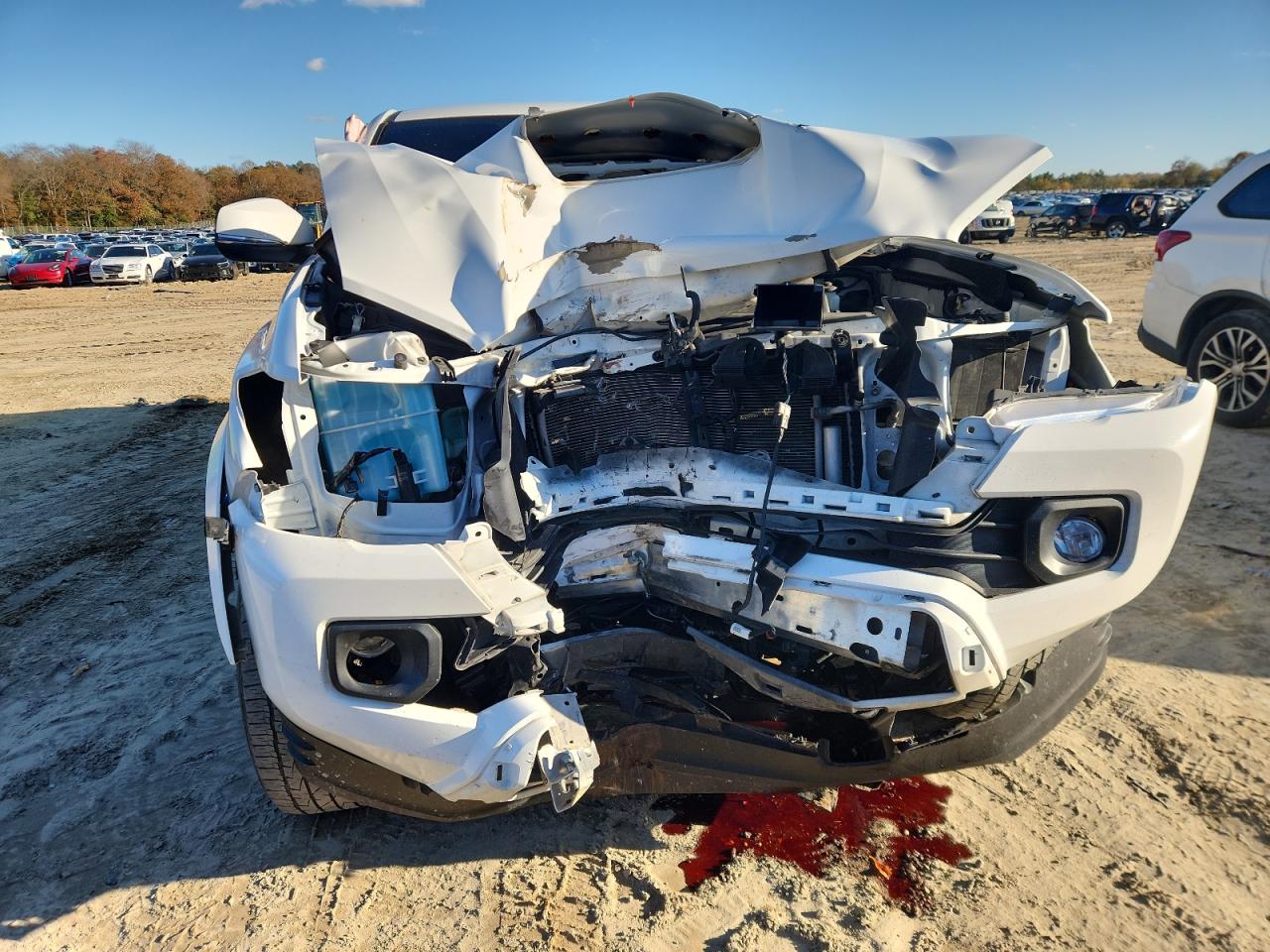 Toyota Tacoma Double Cab Image 2