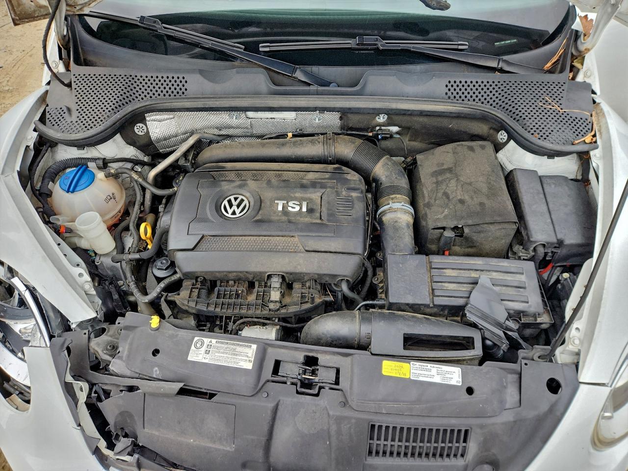 Volkswagen Beetle S/se Image 12