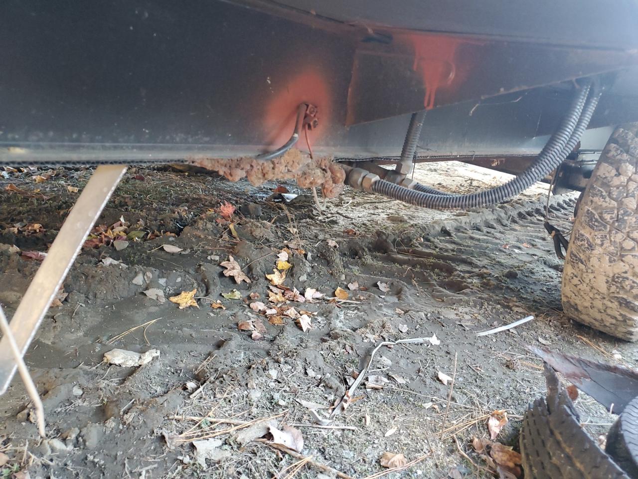 Keystone Kodiak Cub Image 7