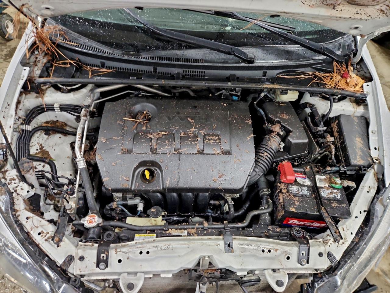 Toyota Corolla L Image 2