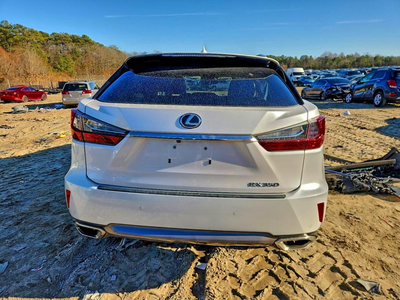 Lexus RX 350 Base Image 14