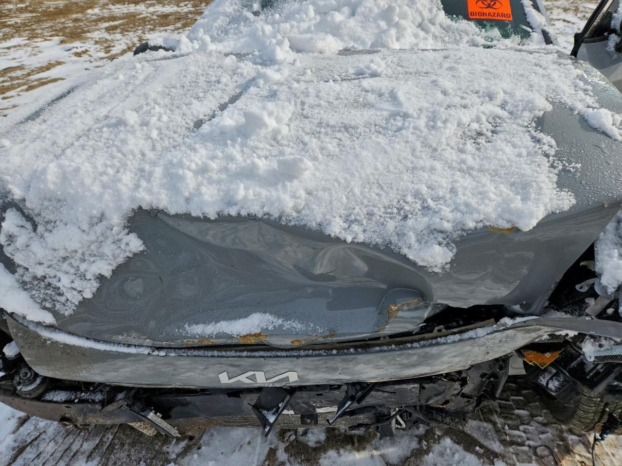 Kia Stinger Gt Line Image 11